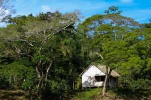 Governo do Acre lança edital de apoio a projetos de recuperação de áreas degradadas e enfrentamento aos extremos climáticos