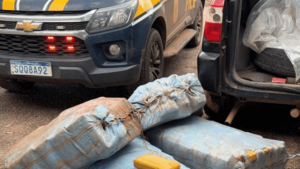 Polícia Civil e PRF apreendem mais de 230 kg de skunk durante operação na BR-364 – Polícia Civil do Estado do Acre – PCAC