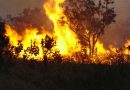 Feijó lidera focos de incêndio, mas governo se preocupa com Brasiléia e Epitaciolândia Feijó lidera focos de incêndio, mas governo se preocupa com Brasiléia e Epitaciolândia