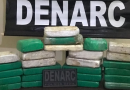 Polícia Militar apreende aproximadamente 60 quilos de drogas