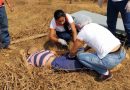 Homem morre após bater motocicleta de frente com caminhão boiadeiro em ramal da BR-317 Homem morre após bater motocicleta de frente com caminhão boiadeiro em ramal da BR-317