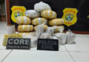 Polícia Civil do Acre realiza maior apreensão de drogas do ano: 177 quilos de cocaína