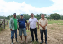 Desenvolvimento agrícola em Epitaciolândia recebe impulso da administração municipal