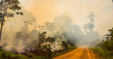 Xapuri tem pior índice de poluição do Brasil, segundo estudo de empresa suíça