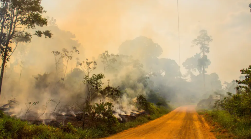 Xapuri tem pior índice de poluição do Brasil, segundo estudo de empresa suíça