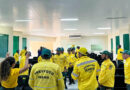 Prefeitura e IBAMA realiza Oficina intergrada de Educação Ambiental Prefeitura e IBAMA realiza Oficina intergrada de Educação Ambiental