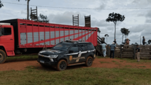 Ação conjunta entre as Polícias Civis do Acre e a Polícia Rodoviária Federal, com apoio da Polícia Civil do Amazonas, recupera mais de 40 cabeças de gado – Polícia Civil do Estado do Acre – PCAC